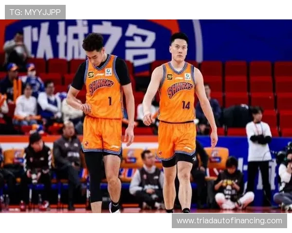 上海主场胜北控洛夫顿双十表现